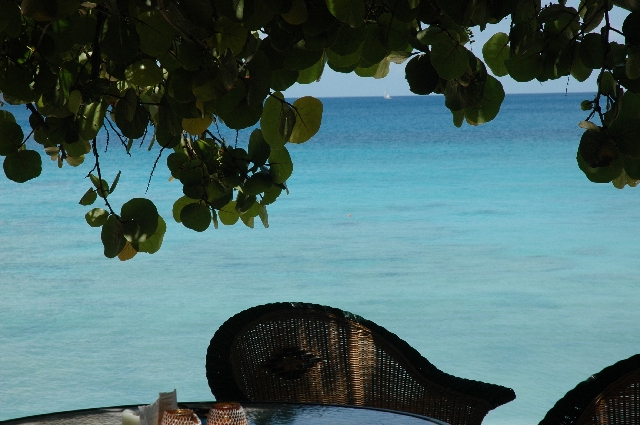 Big Apple--what a view 